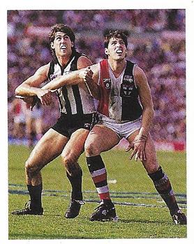 1993 Select AFL Stickers #253 2nd Elimination Final Front